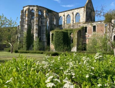 abbaye d'aulne