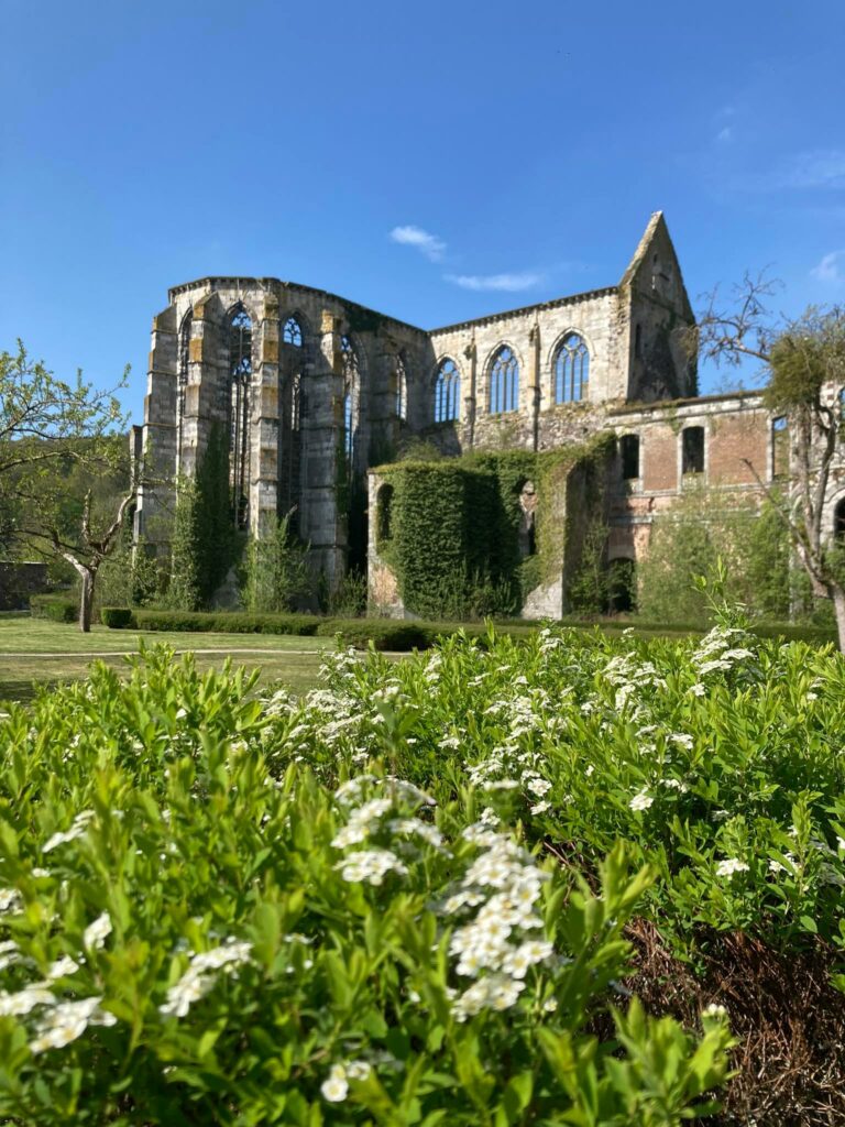 abbaye d'aulne