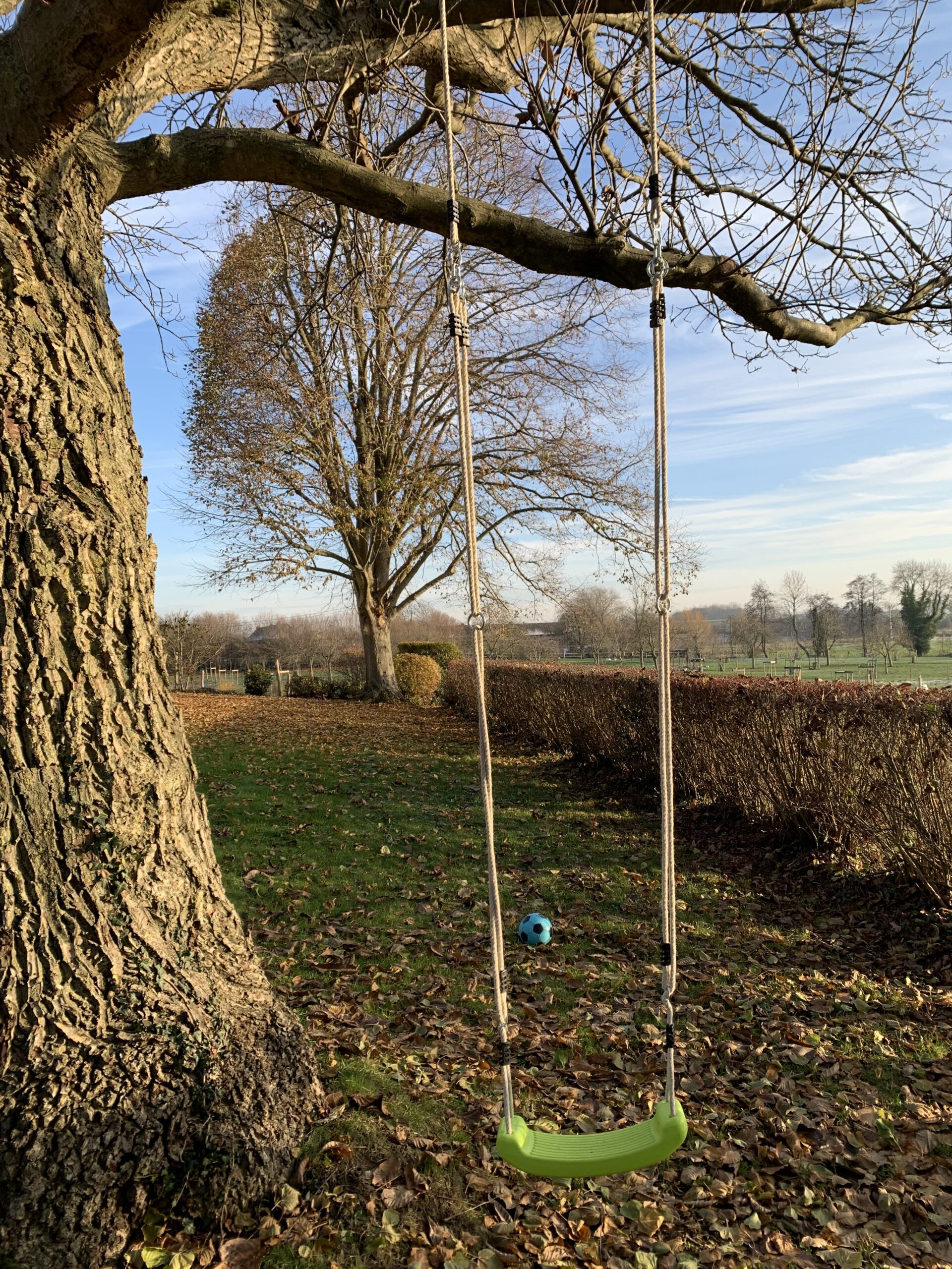 Le jardin et ses jeux dans la Bergerie